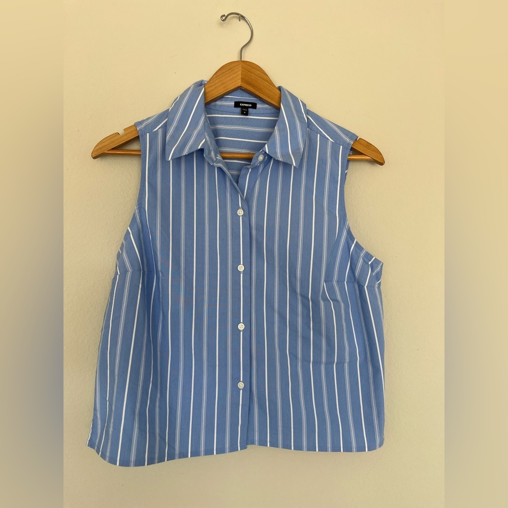 Express Blue and White Striped Blouse - Women's Medium